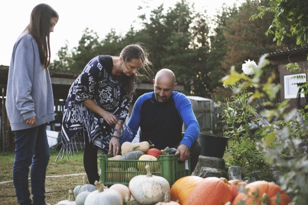 hala dyne 620 | WebJET CMS