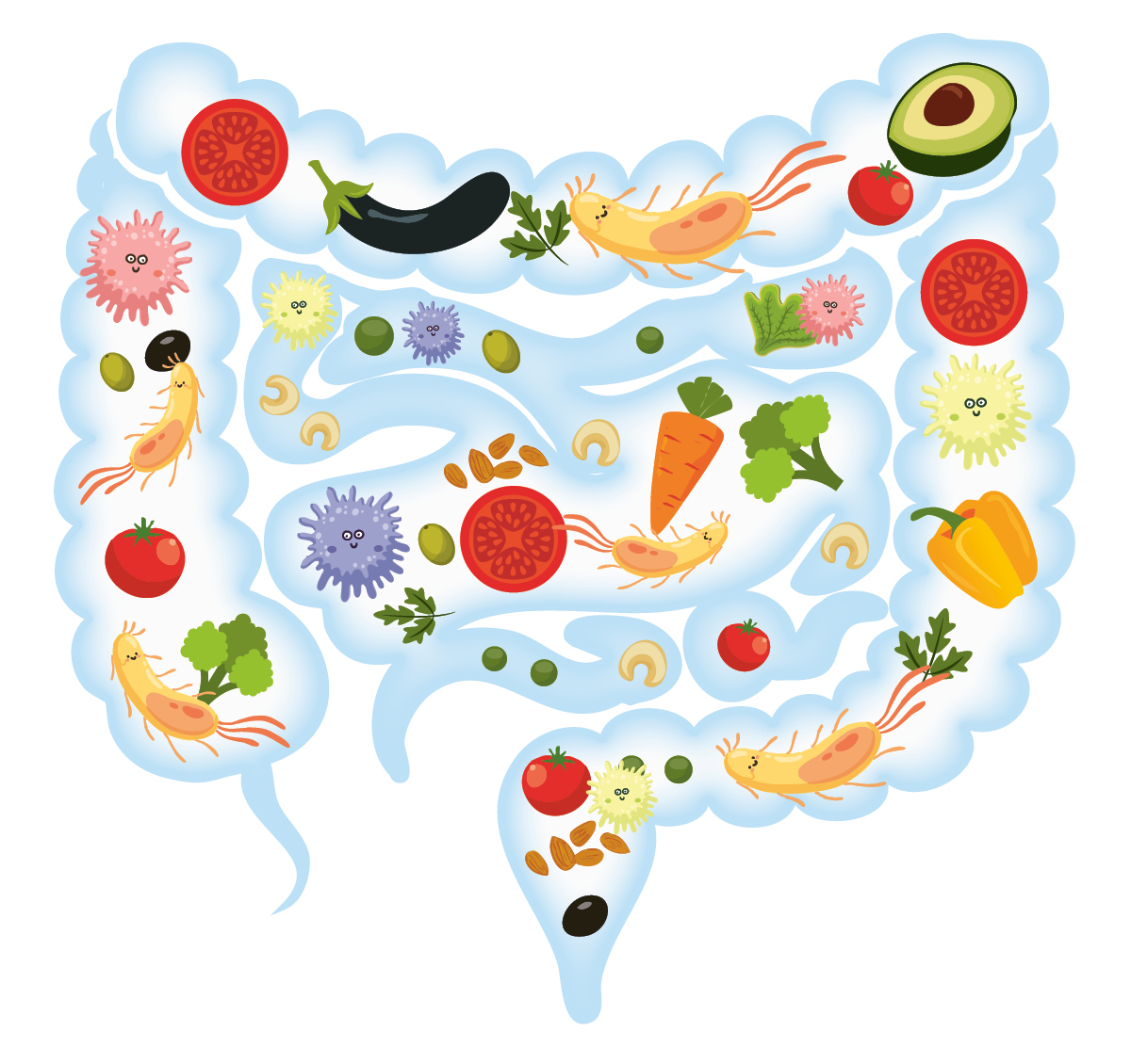 Zdravé střevo, které obsahuje zdravé bakterie a pestrou stravu.