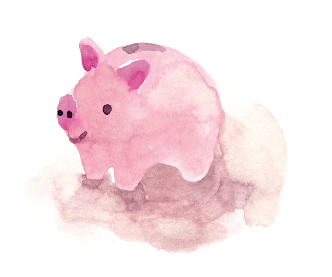 NN spoření Kasička - růžové prasátko - symbol spoření